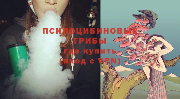 мдпв Беломорск